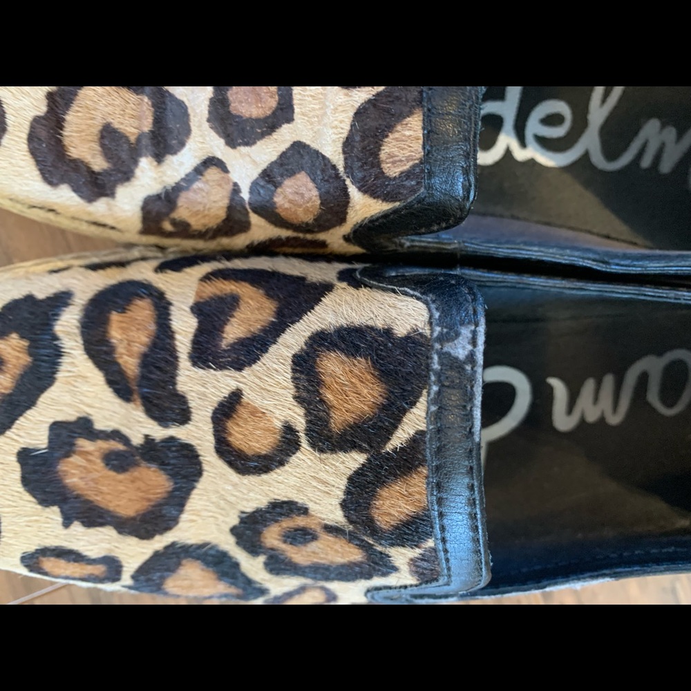 Sam Edelman Leopard Sneaker - Picture 3 of 8